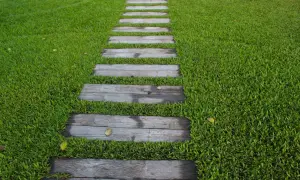 Sendero de madera sobre césped verde. Ideal para aprender como poner tepes de césped y crear un jardín.