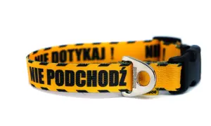 Obroża dla niewidomego psa – zapewnij bezpieczeństwo swojemu pupilowi