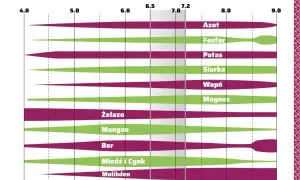 Wykres pokazuje przyswajalność składników pokarmowych, w tym wapnia, w zależności od pH. Wapń jest najlepiej przyswajalny w lekko kwaśnym i obojętnym środowisku.