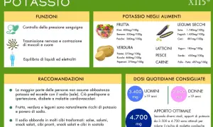 Potassio: controllo pressione, nervi, liquidi. Alimenti ricchi di potassio: frutta, verdura, legumi, pesce. Dosi consigliate per uomini e donne.
