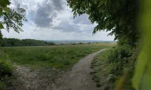 Las Wolski trasy rowerowe - odkryj najlepsze szlaki i ich trudności