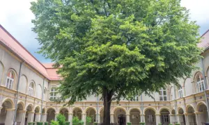 Dziedziniec z okazałym drzewem i arkadowymi krużgankami, przypominający o historii zamku w Krapkowicach.