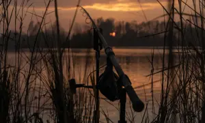 Eko Lakes Wójcina – idealne łowisko karpiowe z wyjątkowymi rybami