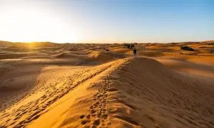 Ein einsamer Wanderer steht auf einer Düne während einer Marokko Sahara Tour. Fußspuren im Sand führen zum Horizont, wo die Sonne untergeht.