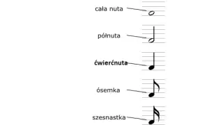 Jak wygląda cała nuta? Zrozum jej wartość i pauzę!