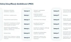 Ile kodów PKD można wpisać do KRS? Unikaj błędów przy rejestracji firmy