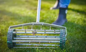 Kiedy wertykulacja trawnika? Idealny termin i praktyczny poradnik
