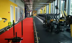McFIT Mokotów: Cennik, Opinie, Godziny 24/7 | Wszystko o Siłowni