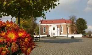 Najciekawsze atrakcje w Tarczynie, które musisz zobaczyć