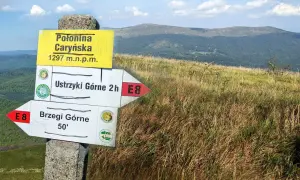 Znaki szlaku na Połoninie Caryńskiej. Trasa do Ustrzyk Górnych 2h, do Brzegów Górnych 50'.