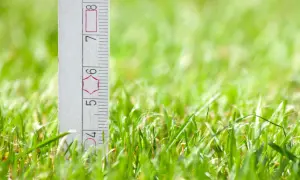 Miarka w trawie pokazuje, na jaka wysokosc kosic trawe. Idealna dlugosc to ok. 5-6 cm.