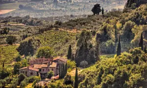 Un casale in pietra tra vigneti e uliveti, un sogno di cosa fare in Toscana.