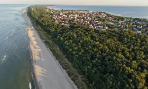 Piękna plaża i las nad morzem. Szukasz miejsca, gdzie najtaniej nad morzem? Ten widok może być inspiracją do wakacji.