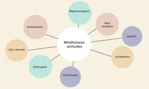 Mindfulness attitudes: dankbaarheid, beginnersgeest, niet oordelen, geduld, accepteren, vertrouwen, laten gaan, niet streven. Compassie als sleutel tot geluk.