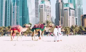 Dwa wielbłądy na plaży w Dubaju, z palmami i drapaczami chmur w tle. Zastanawiasz się, ile się leci do Dubaju?