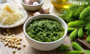 Granskott pesto, en härlig ingrediens för ditt nästa granskott recept. Serveras med pinjenötter, vitlök, parmesan och olivolja.