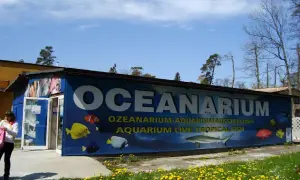 Oceanarium Mielno: Czy to miejsce już nie działa i co dalej?