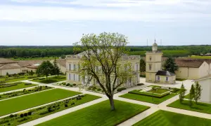 Magnifique domaine viticole sur la route des vins de Bordeaux, avec son château, ses jardins à la française et ses vignes à perte de vue.