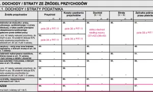 Ile za rozliczenie PIT? Sprawdź, jak to zrobić bez opłat!