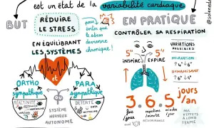 Schéma expliquant l'exercice de cohérence cardiaque pour débutant : contrôler sa respiration pour réduire le stress et équilibrer le système nerveux.