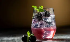 Najlepsze drinki z ginem, które zaskoczą Twoich gości