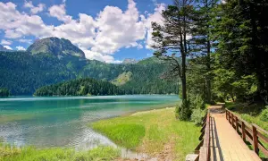 Ein Holzsteg führt durch den Wald am Ufer eines türkisfarbenen Sees im Durmitor Nationalpark. Berge und grüne Wälder im Hintergrund.