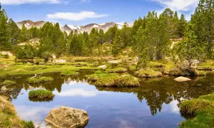 Un étang paisible reflète les pins et les montagnes enneigées, un aperçu des plus beaux endroits des Pyrénées-Orientales.