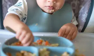 Ett barn med haklapp utforskar sin blw mat på en tallrik.