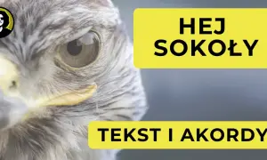 Zbliżenie na oko sokoła, obok żółty napis "HEJ SOKOŁY TEKST I AKORDY".