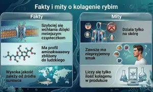 Kolagen hydrolizowany rybi: szybciej się wchłania, ma profil aminokwasowy zbliżony do ludzkiego, a jego jakość zależy od źródła.
