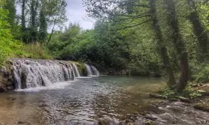 Le cascatelle di Cingoli, un angolo di paradiso verde con acqua cristallina e alberi secolari che creano un'atmosfera magica.