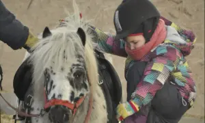 Dziewczynka w kasku i kolorowej kurtce przygotowuje konia do jazdy, zapinając mu wytok.