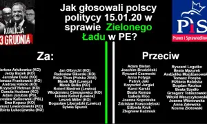 Kto głosował za zielonym ładem? Lista polskich europosłów i ich decyzje