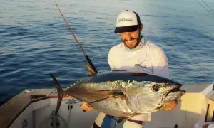 Glücklicher Angler hält stolz einen riesigen Thunfisch, den er beim Thunfisch angeln gefangen hat. Das Boot schaukelt sanft auf dem Meer.