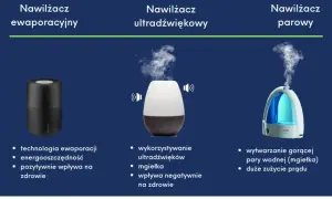 Porównanie nawilżaczy: ewaporacyjny, ultradźwiękowy i parowy. Dowiedz się, jak używać nawilżacz powietrza, by poprawić zdrowie.