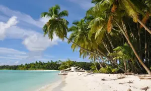 Plage paradisiaque aux Iles Salomon, cocotiers penchés sur le sable blanc et l'eau turquoise. Un rêve éveillé.