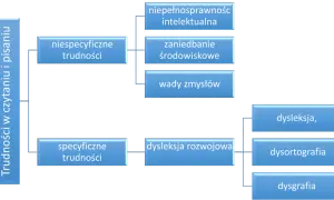 Dysleksja w Polsce: Jak uzyskać opinię i pełne wsparcie?