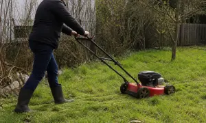 Mężczyzna w gumowcach wykonuje pierwsze koszenie trawy z koszem czy bez. Wiosenna pielęgnacja ogrodu.