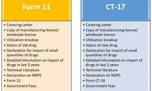 Porównanie wymagań dla Form 11 i CT-17: lista dokumentów, w tym licencje, deklaracje importowe i opłaty.