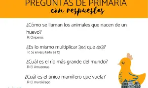 Preguntas para niños sobre animales, matemáticas y geografía. Incluye un dibujo de un pollito con huevos.