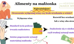 Kluczowe czynniki przy alimentach na żonę: wina, standard życia, pogorszenie sytuacji materialnej.