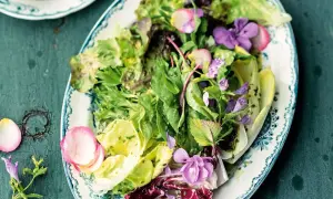 Frischer Blattsalat mit essbaren Blüten und Radieschen, ein frühlingshaftes Salat Rezept.