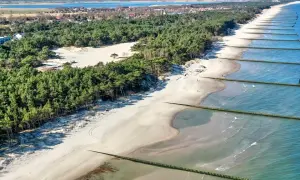 Najlepsze atrakcje w Rogowie, które musisz zobaczyć podczas wizyty