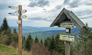 Rozdroże szlaków w Beskidzie Wyspowym. Tabliczki kierunkowe wskazują drogę na Luboń Wielki, część Małego Szlaku Beskidzkiego.