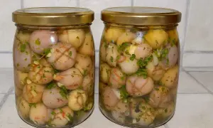 Due barattoli di lampagioni sott'olio, con erbe aromatiche e spezie, pronti per essere gustati.