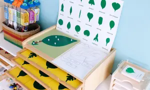 Materiales educativos que exploran la botánica, mostrando la diversidad de formas de hojas. Un ejemplo de cómo es Montessori: aprendizaje práctico y visual.