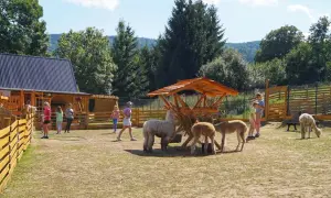 Najlepsze atrakcje w Lądku-Zdroju, które musisz odwiedzić