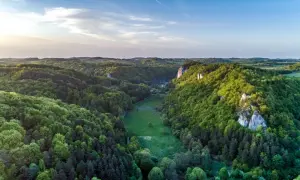 Malownicza Dolina Będkowska skąpana w zieleni, z wapiennymi skałami wznoszącymi się pośród drzew.