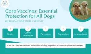 Essential core vaccines for dogs include Rabies, Canine Distemper, Parvovirus, Adenovirus, and Leptospirosis, vital for all pups.