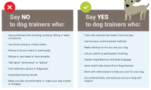 A graphic lists "Say NO" and "Say YES" to dog trainers. The "YES" side highlights positive methods, like a dog therapist using rewards and humane techniques.